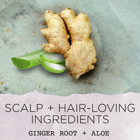 Rooted Rituals Conditioner 8.4 oz. - Picture 3 of 4